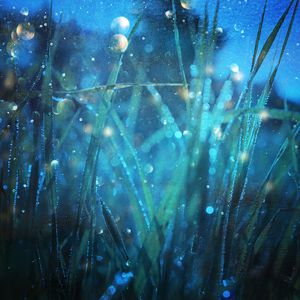 抱着亲妺疯狂做爰
